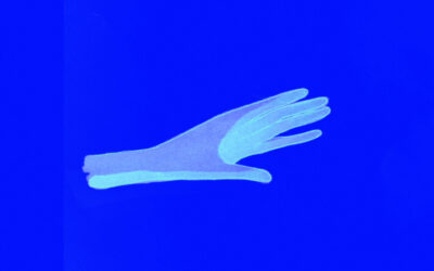 WNDX Festival of Moving Image